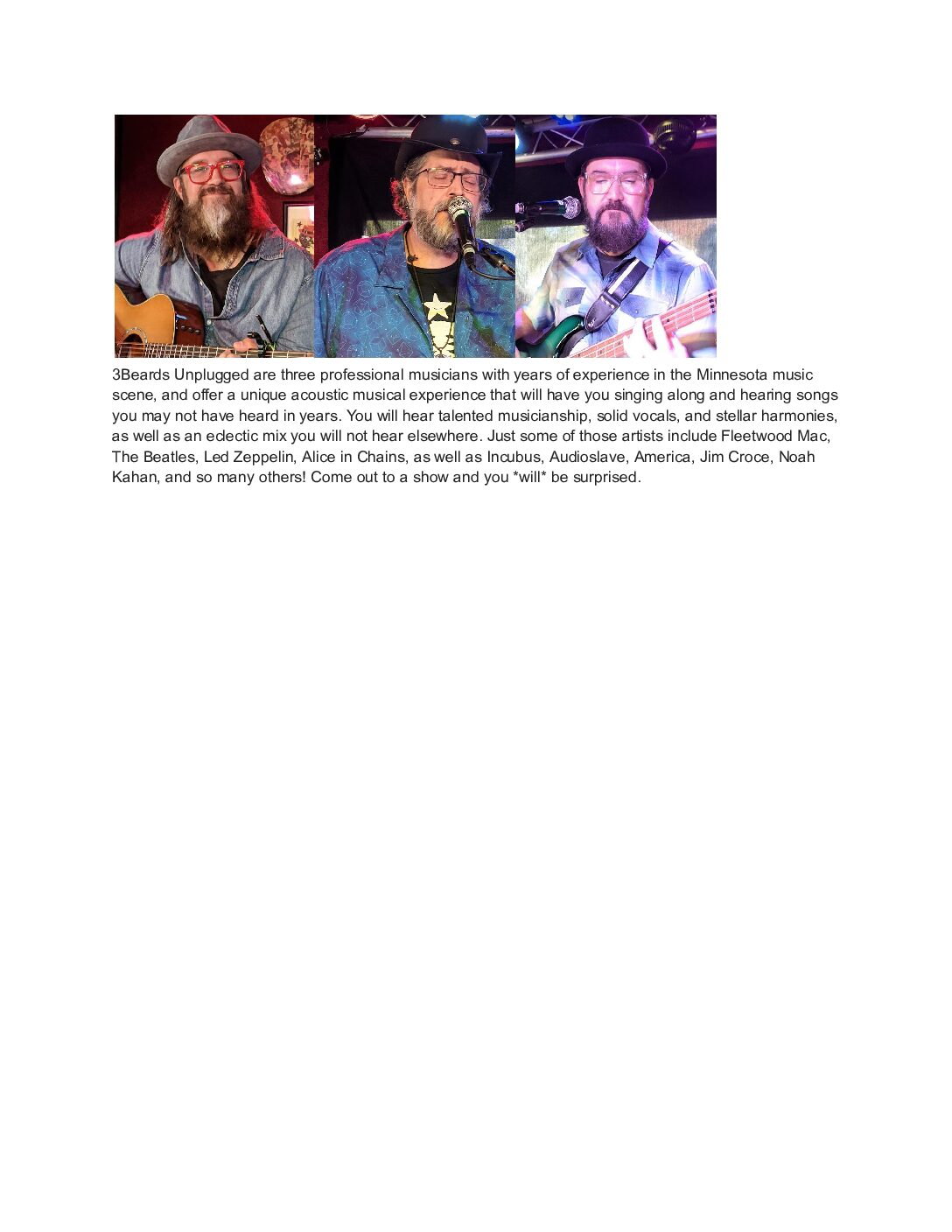 3 Beards Unplugged
